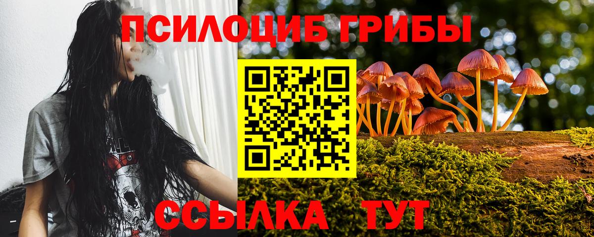 Галлюциногенные грибы мицелий  Вход с VPN  Галлюциногенные грибы прущие грибы  Кинель 