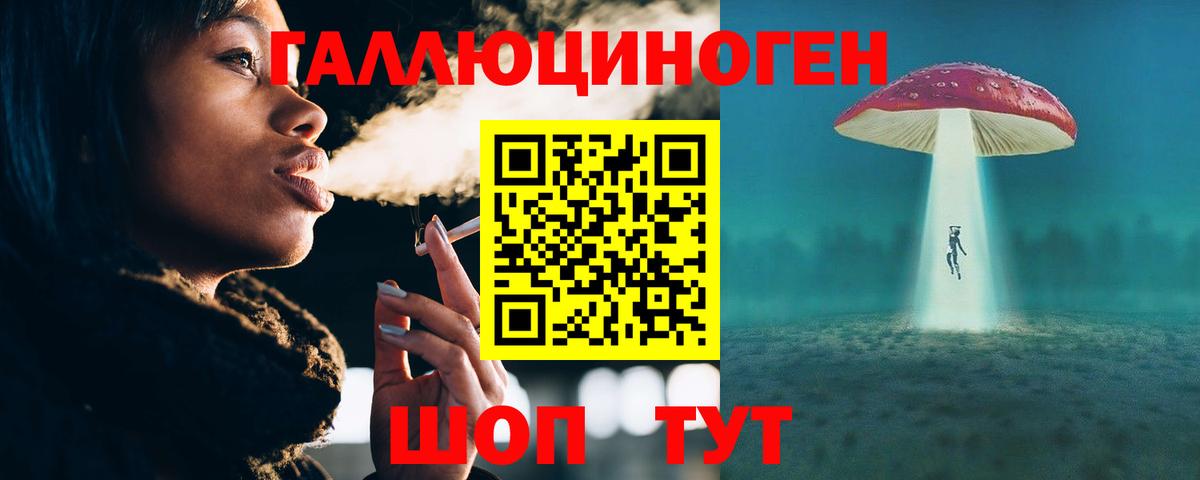 Псилоцибиновые грибы Psilocybine cubensis Кинель